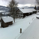 IMG_1170.JPG