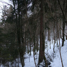 IMG_6549_Kopie.jpg
