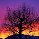 23022012fmt_morgenrot_mw_08.JPG