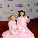 DAB0458-20111121.jpg