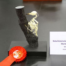 normal_23022012fmt_hohejagd_ta_027.JPG
