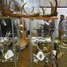 normal_23022012fmt_hohejagd_ta_047.JPG