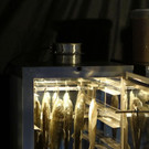 normal_23022012fmt_hohejagd_ta_057.JPG