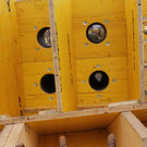 23022012bastellesuedde01001aktivnews_123.jpg