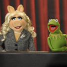 "The Muppets" oder "Rio" bekommen den Oscar für "Bester Filmsong"