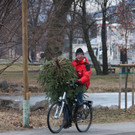 Funkenaufbau 022.JPG