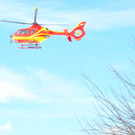 24022012lawineat04002aktivnews004.JPG