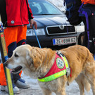 24022012lawineat04002aktivnews024.JPG