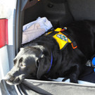 24022012lawineat04002aktivnews039.JPG