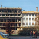 1_2_Raiba_3_001.jpg