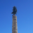 alina 018_jpg-1330108594