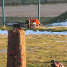 BK_vorfunken_nofels_2012 21_jpg-1330114656