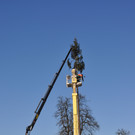 Funkenwacht Sulz