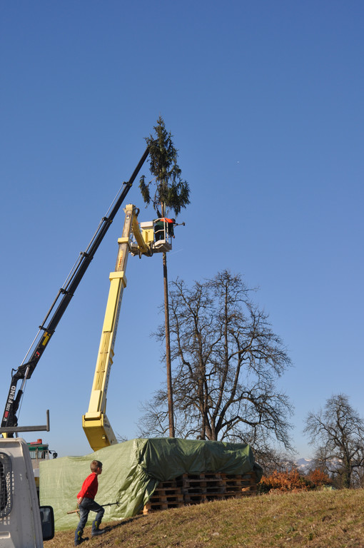 DSC_0005_JPG-1330125604