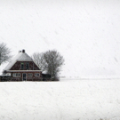 Niederlande