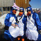 DSC01791_jpg-1330158082