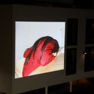 normal_24022012fmt_fotohof_mw_19.JPG