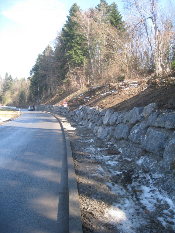 Gehsteig Eichenberger Stra__e ABSCHLUSS 2012 _10__jpg-1330176867