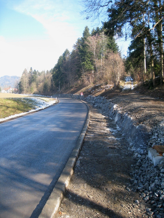 Gehsteig Eichenberger Stra__e ABSCHLUSS 2012 _9__jpg-1330176861