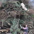 Funkenbauer an der Arbeit 2012 _3__jpg-1330179776
