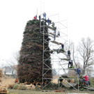 Gai__au 25_02_2012 25_jpg-1330188268