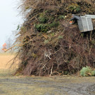 Fu__ach 25_02_2012 115_jpg-1330191196