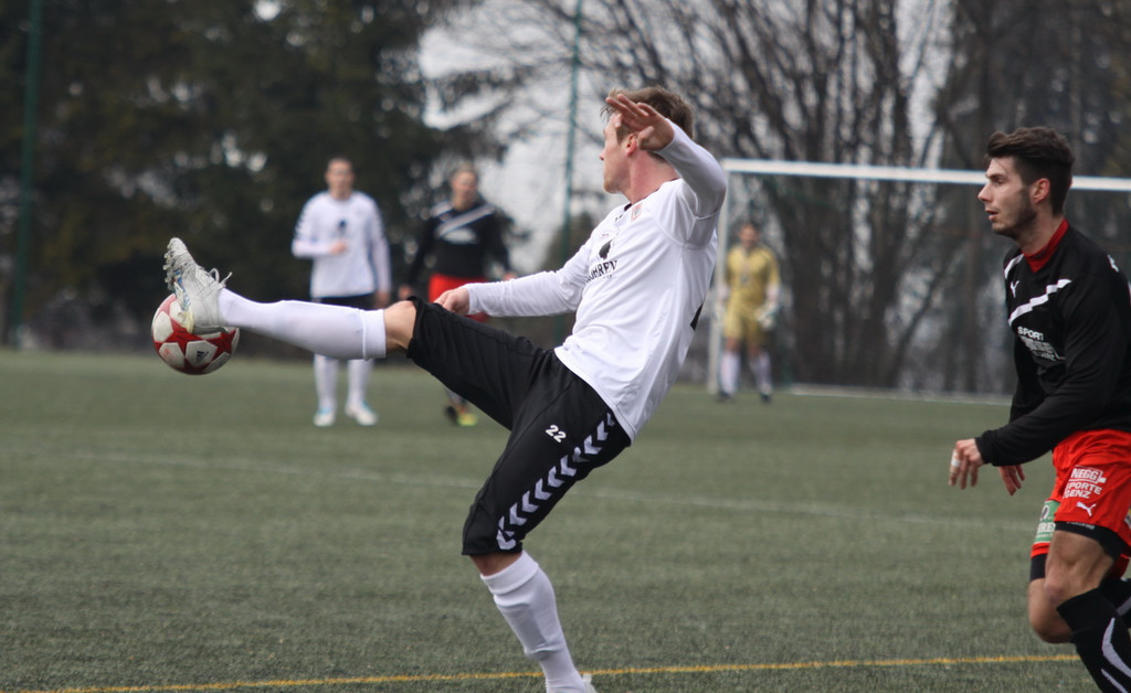 VB Dornb_ Viktoria  2011  Titelbild_jpg-1330198066