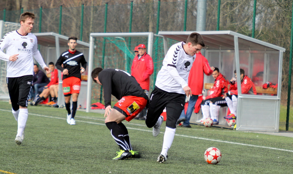 VB Dornb_ Viktoria  2011 _15__jpg-1330198098