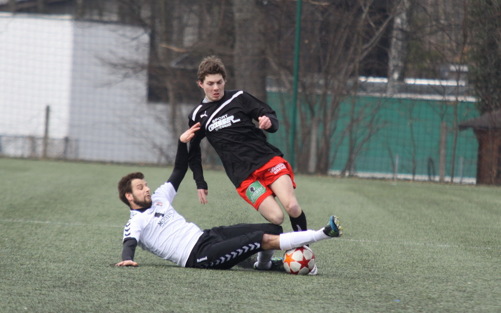 VB Dornb_ Viktoria  2011 _38__jpg-1330198143