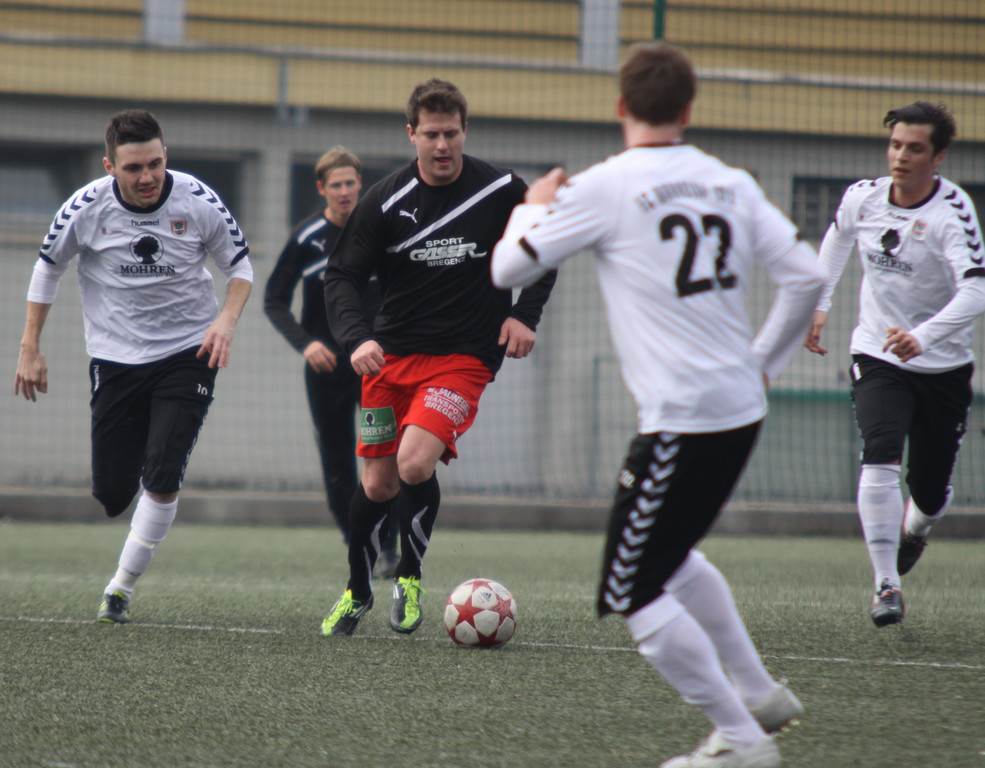 VB Dornb_ Viktoria  2011 _46__jpg-1330198165