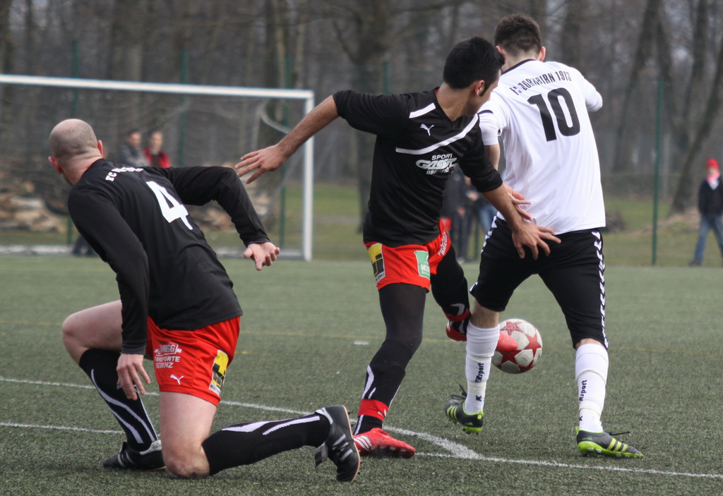 VB Dornb_ Viktoria  2011 _122__jpg-1330198274