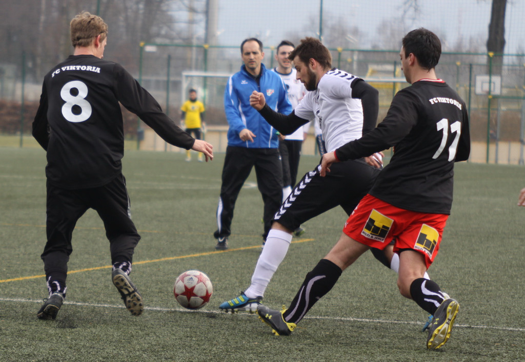 VB Dornb_ Viktoria  2011 _185__jpg-1330198315