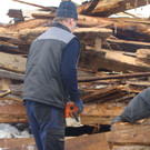 DSC09385.JPG