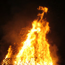 DSC09559.JPG