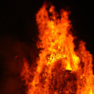 DSC09584.JPG