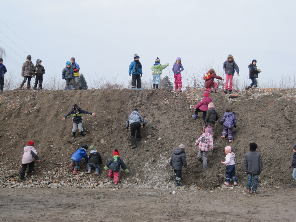 IMG_2010_JPG-1330198977