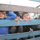 IMG_1993_JPG-1330204374