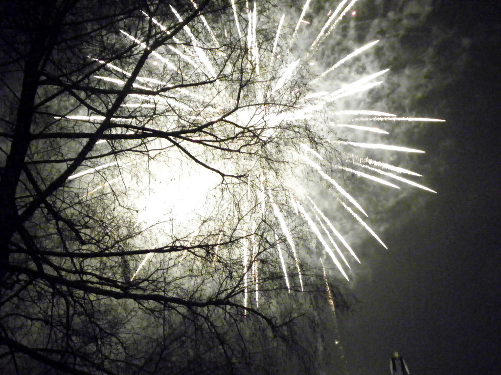 113_8863_JPG-1330214032