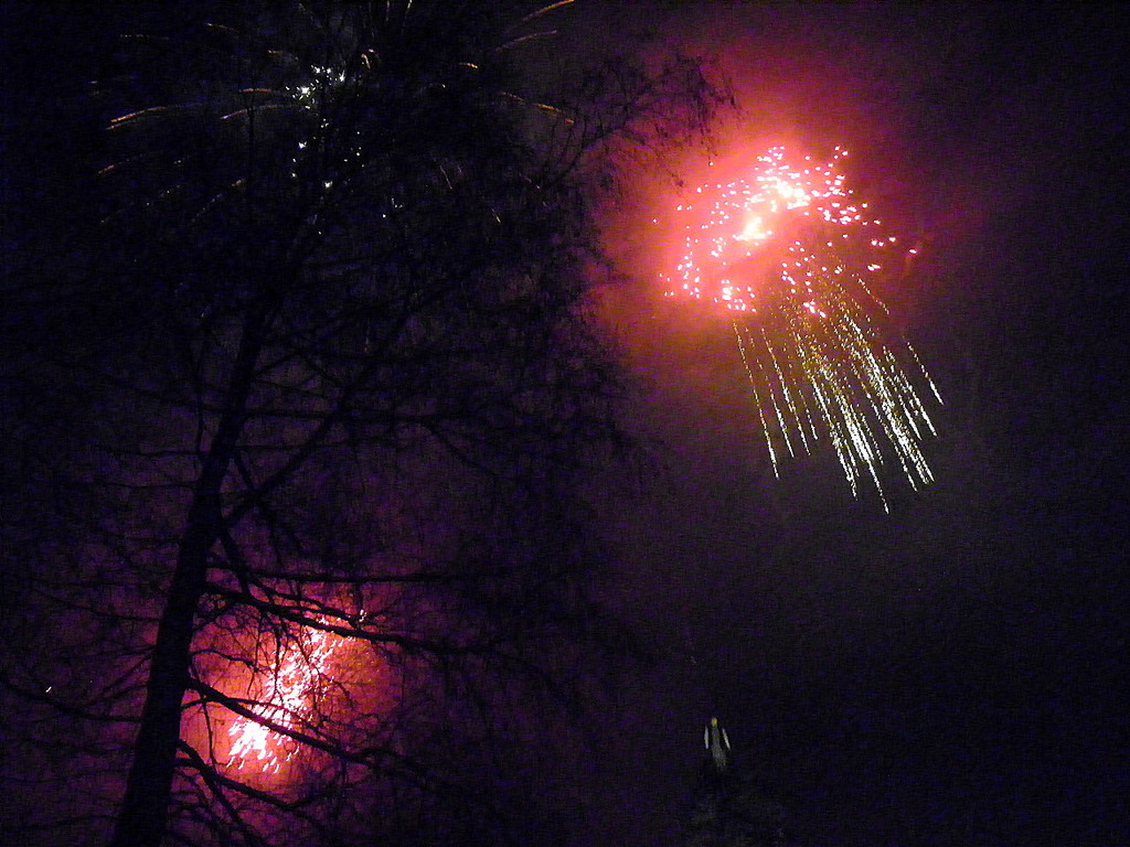 113_8876_JPG-1330214044