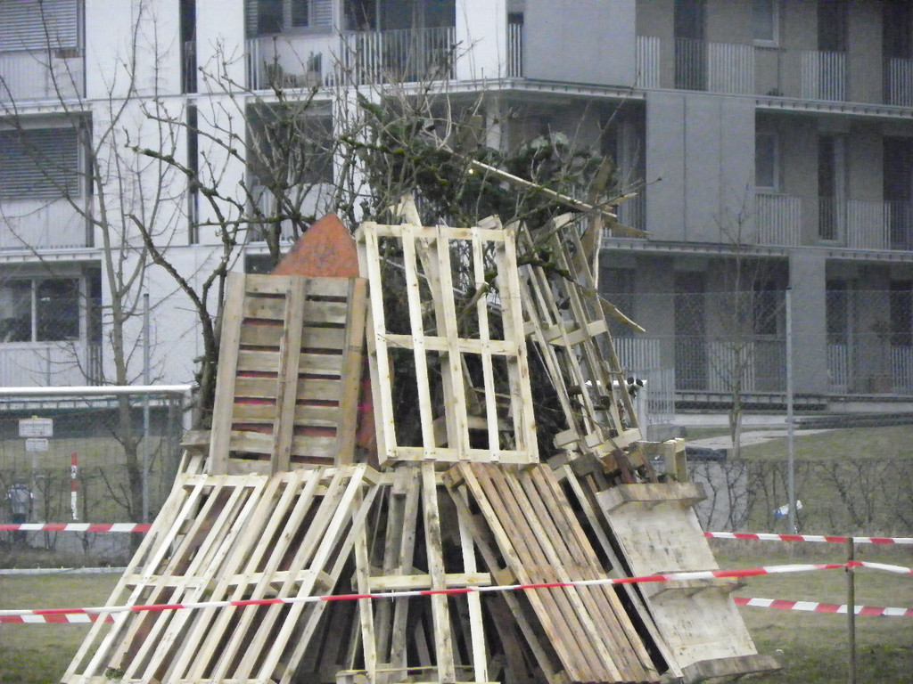 113_8713_JPG-1330217119