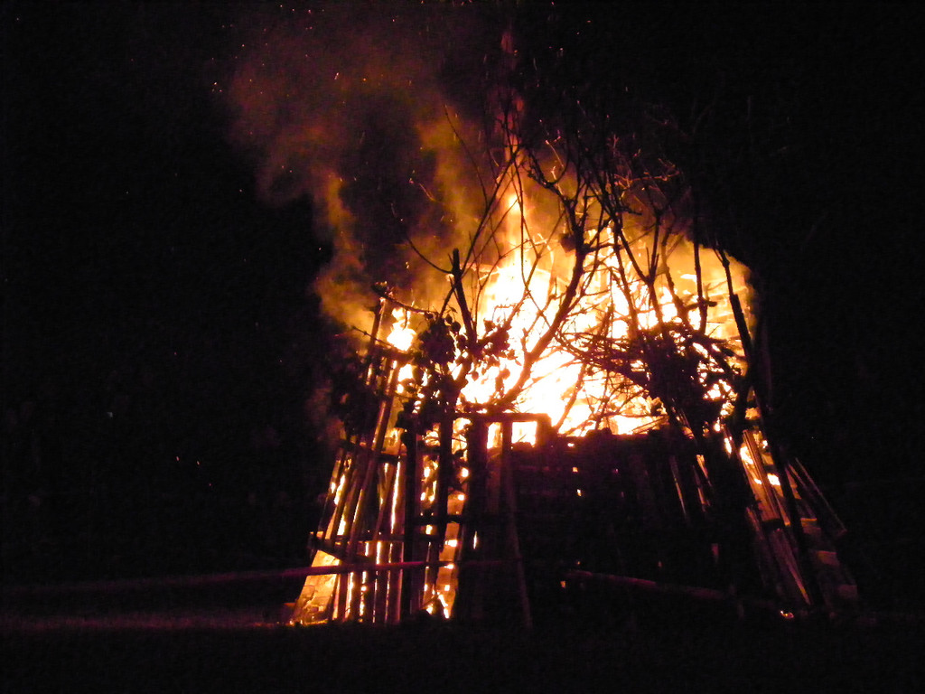 113_8831_JPG-1330217144