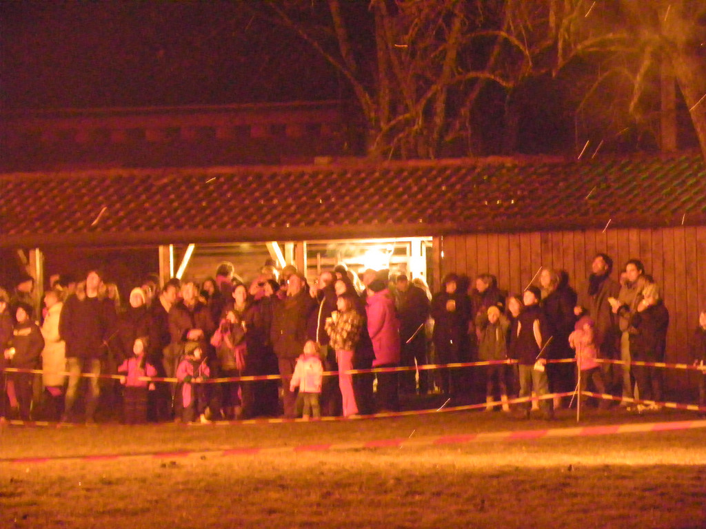 113_8832_JPG-1330217150