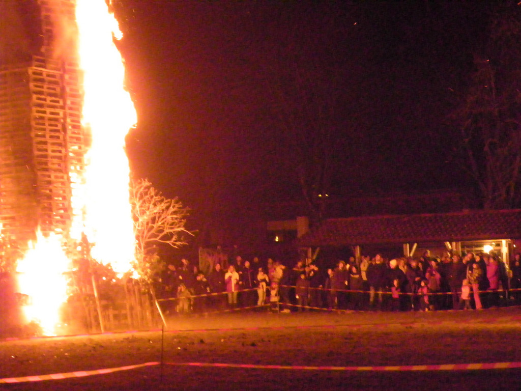 113_8834_JPG-1330217156