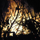 113_8838_JPG-1330217174