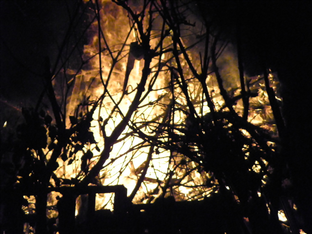 113_8838_JPG-1330217174