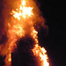 113_8835_JPG-1330217162