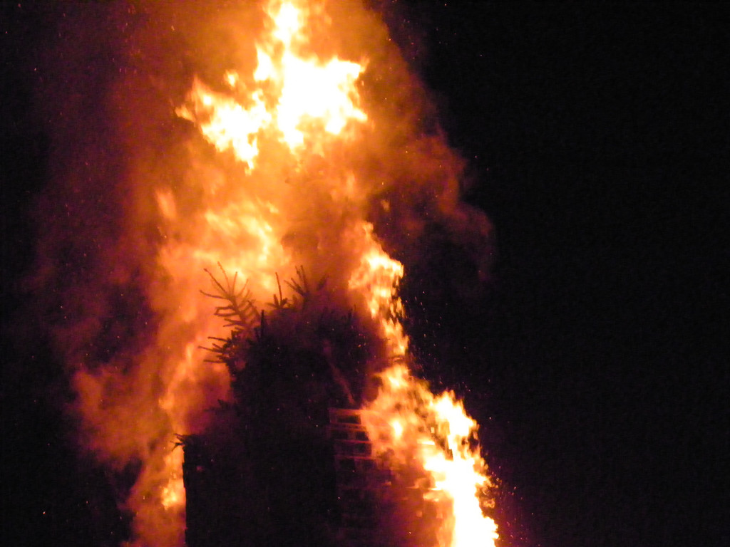 113_8835_JPG-1330217162