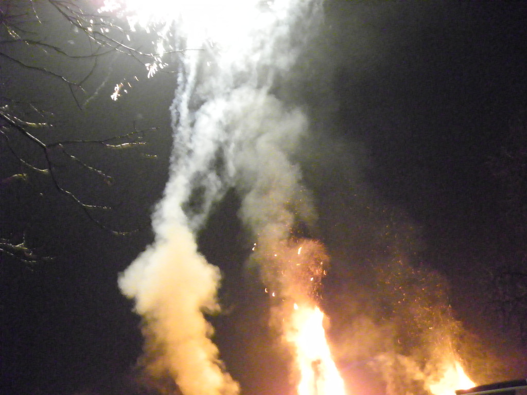 113_8842_JPG-1330217180