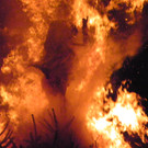 113_8836_JPG-1330217168