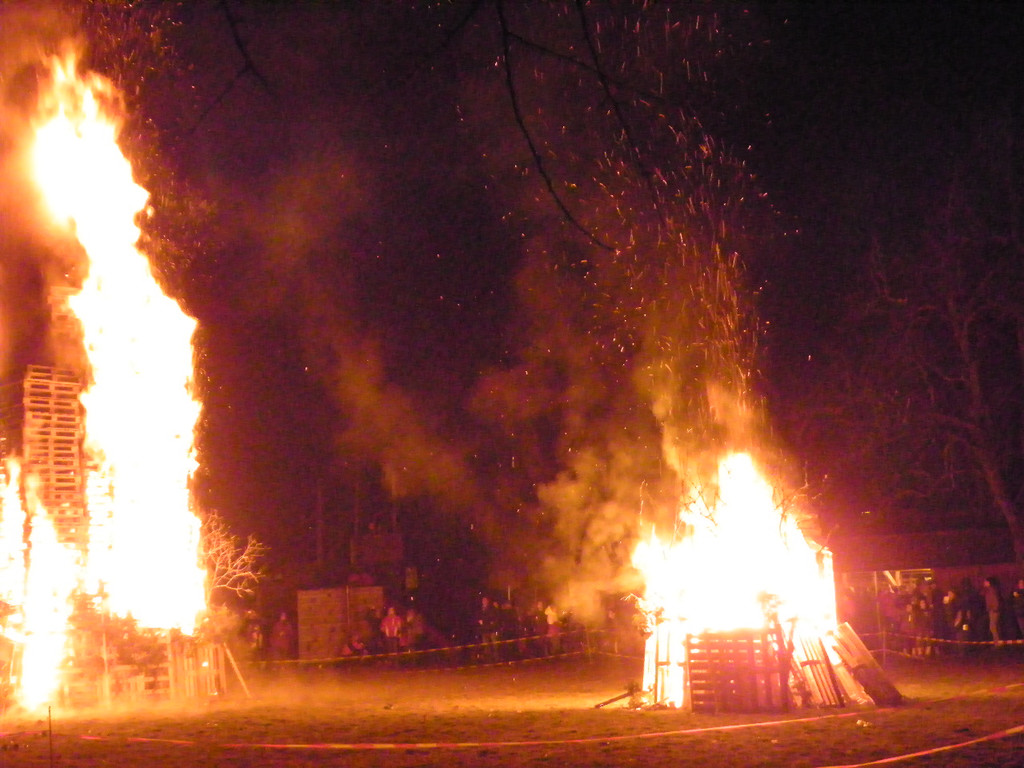 113_8847_JPG-1330217186